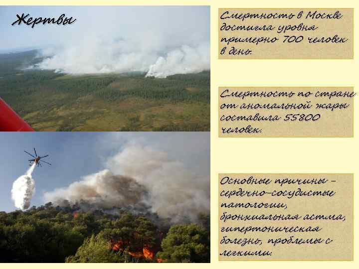 Жертвы Смертность в Москве достигла уровня примерно 700 человек в день. Смертность по стране