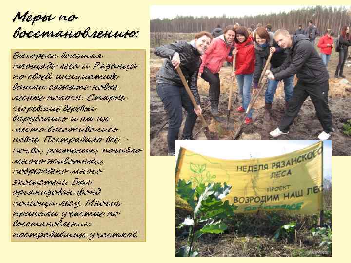 Меры по восстановлению: Выгорела большая площадь леса и Рязанцы по своей инициативе вышли сажать