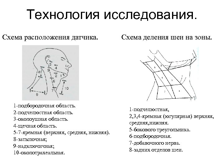 Технология исследования. Схема расположения датчика. 1 -подбородочная область. 2 -подчелюстная область. 3 -околоушная область.
