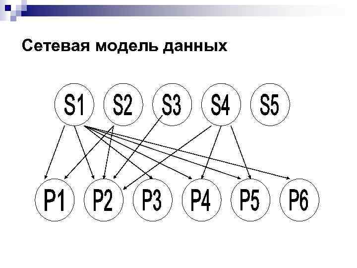 Сетевая модель данных 