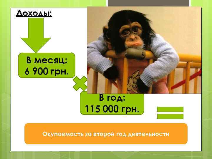 Доходы: В месяц: 6 900 грн. В год: 115 000 грн. Окупаемость за второй