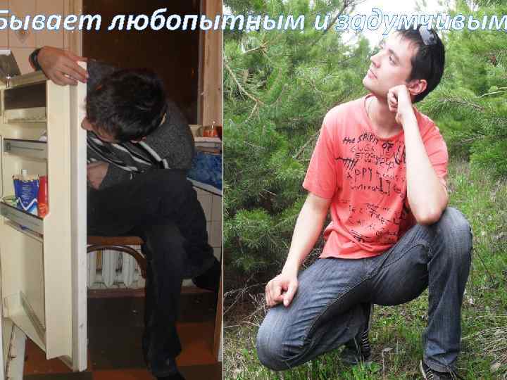 Бывает любопытным и задумчивым 