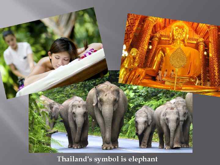 Thailand's symbol is elephant 