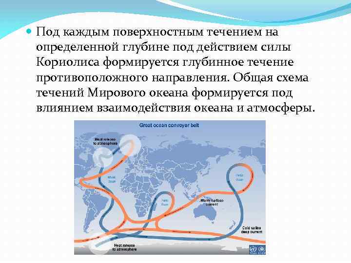 Течения презентация