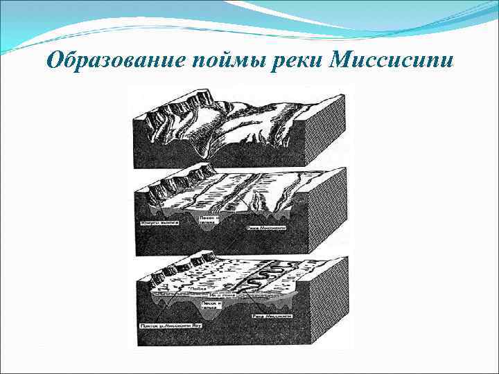 Образование поймы реки Миссисипи 