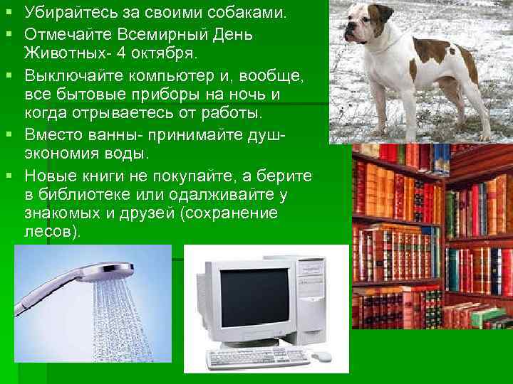 § Убирайтесь за своими собаками. § Отмечайте Всемирный День Животных- 4 октября. § Выключайте