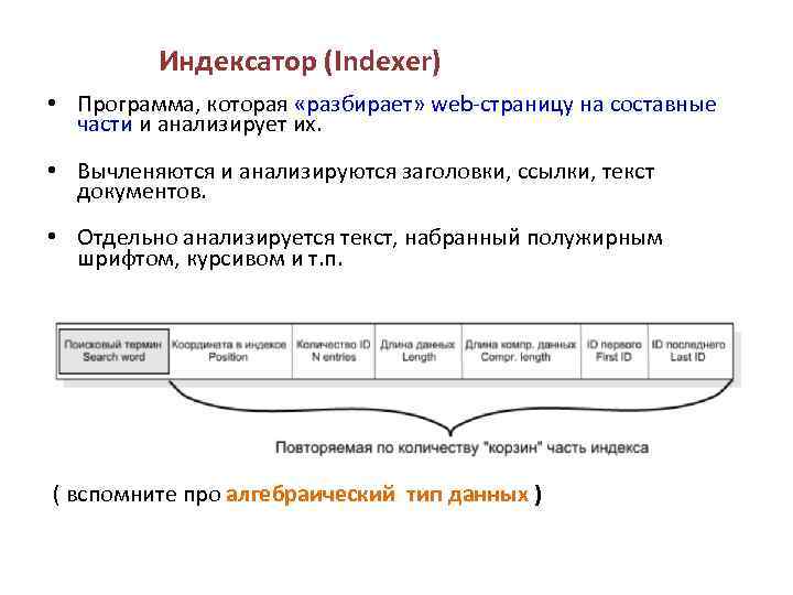 Индексатор (Indexer) • Программа, которая «разбирает» web-страницу на составные части и анализирует их. •