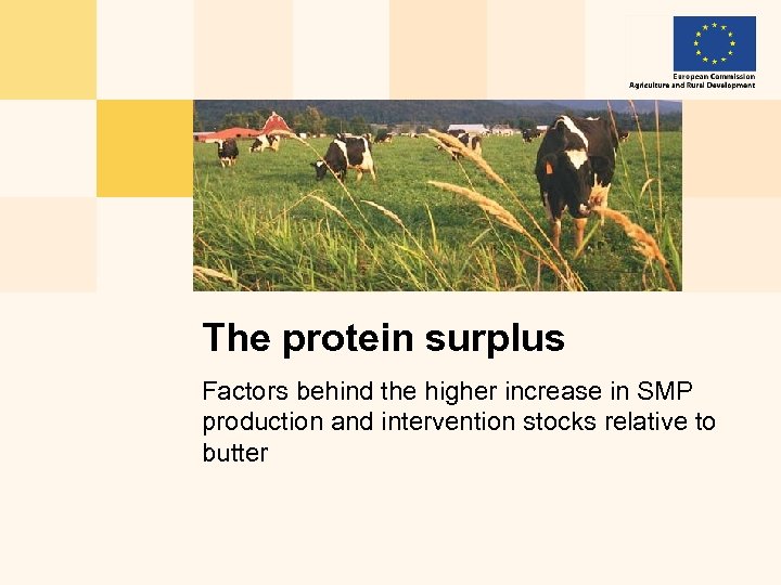 The protein surplus Factors behind the higher increase in SMP production and intervention stocks