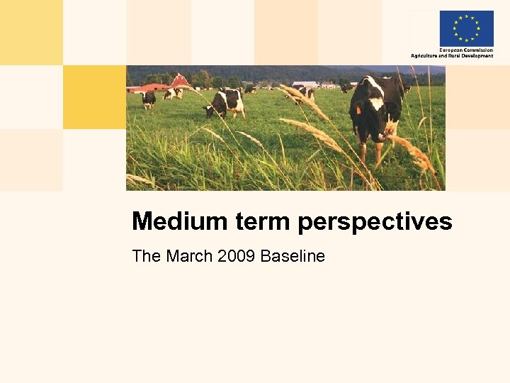 Medium term perspectives The March 2009 Baseline 