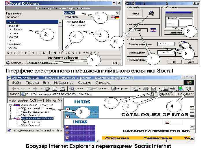 Інтерфейс електронного німецько-англійського словника Soсrat Броузер Internet Explorer з перекладачем Soсrat Internet 