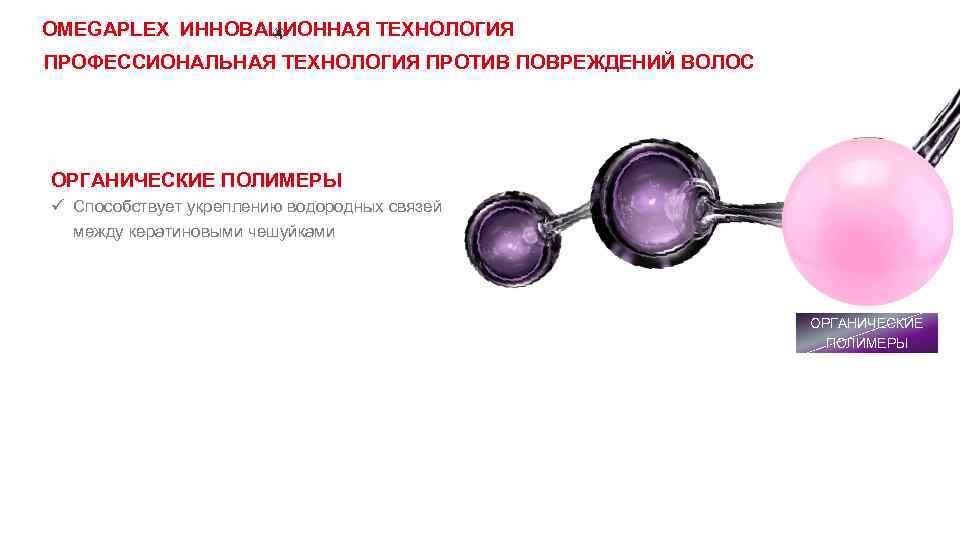 OMEGAPLEX ИННОВАЦИОННАЯ ТЕХНОЛОГИЯ ПРОФЕССИОНАЛЬНАЯ ТЕХНОЛОГИЯ ПРОТИВ ПОВРЕЖДЕНИЙ ВОЛОС ОРГАНИЧЕСКИЕ ПОЛИМЕРЫ ü Способствует укреплению водородных