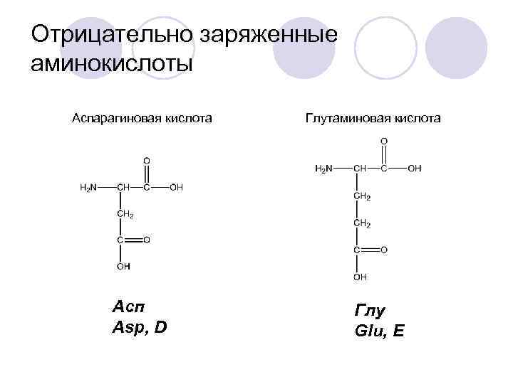 Отрицательно заряженные аминокислоты Аспарагиновая кислота Асп Asp, D Глутаминовая кислота Глу Glu, E 