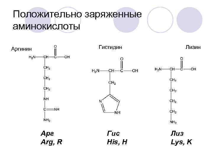 Положительно заряженные аминокислоты Гистидин Аргинин Арг Arg, R Гис His, H Лизин Лиз Lys,