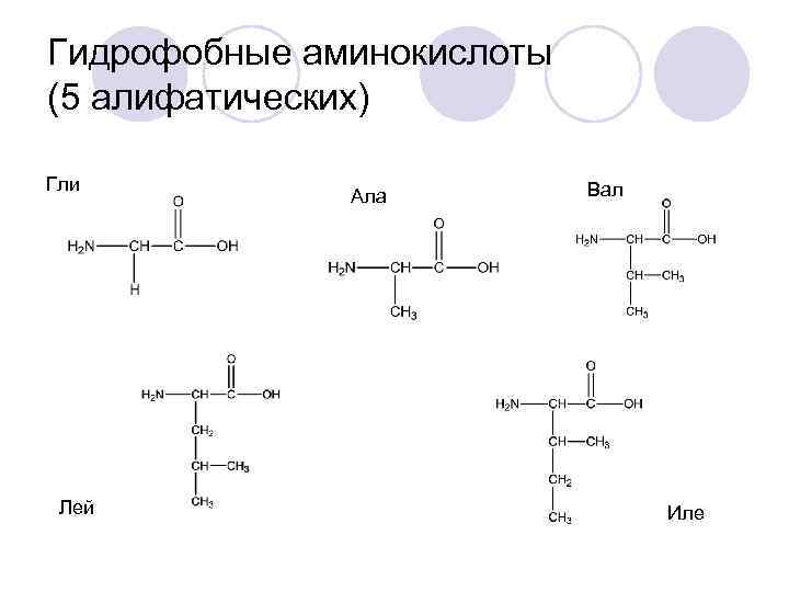 Гидрофобные аминокислоты (5 алифатических) Гли Лей Ала Вал Иле 