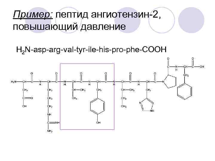 Пример: пептид ангиотензин-2, повышающий давление H 2 N-asp-arg-val-tyr-ile-his-pro-phe-COOH 