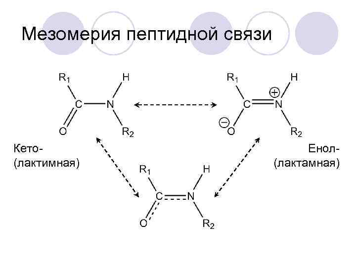 Мезомерия пептидной связи Кето(лактимная) Енол(лактамная) 