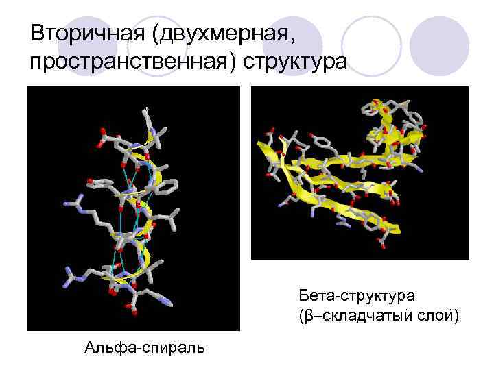 Вторичная (двухмерная, пространственная) структура Бета-структура (β–складчатый слой) Альфа-спираль 