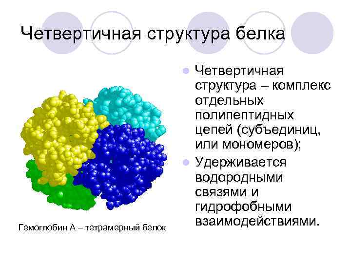 Четвертичный белок