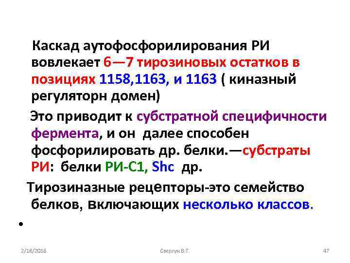 Каскад аутофосфорилирования РИ вовлекает 6— 7 тирозиновых остатков в позициях 1158, 1163, и 1163