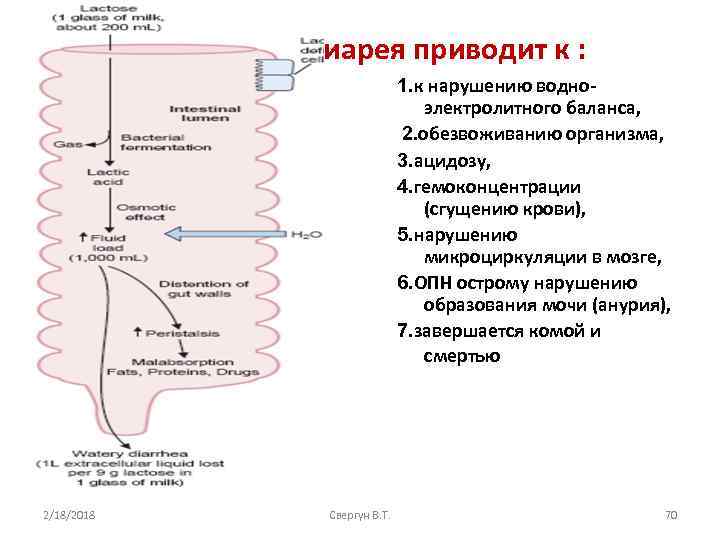 Длительная диарея приводит к : 1. к нарушению водноэлектролитного баланса, 2. обезвоживанию организма, 3.