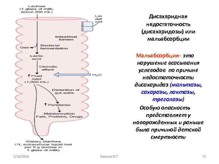 Дисахаридная недостаточность (дисахаридозы) или мальабсорбции Мальабсорбция- это нарушение всасывания углеводов по причине недостаточности дисахаридаз