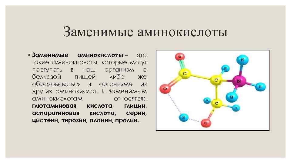 Заменимые аминокислоты ◦ Заменимые аминокислоты – это такие аминокислоты, которые могут поступать в наш