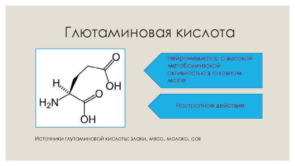 Глютаминовая кислота Нейромедиатор с высокой метаболической активностью в головном мозге Ноотропное действие Источники глутаминовой