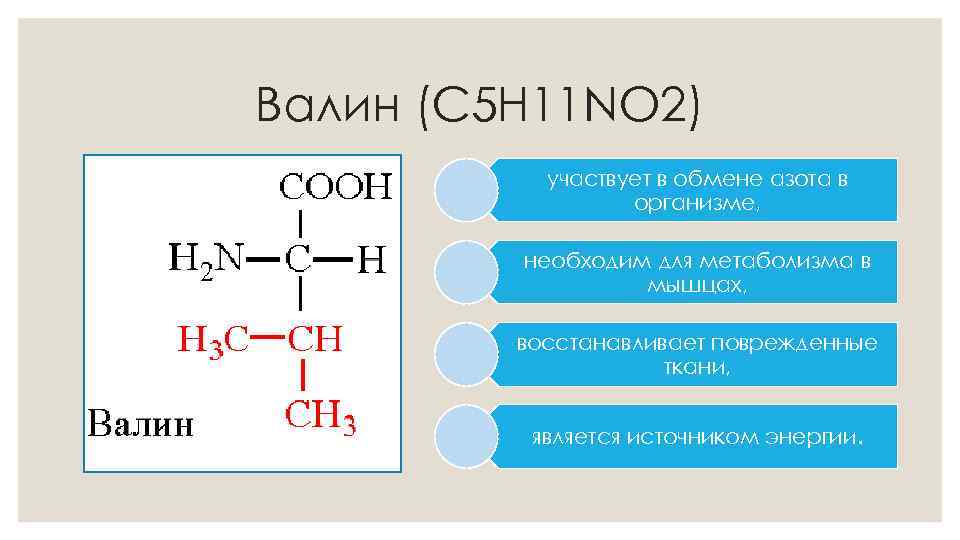 Валин (C 5 H 11 NO 2) участвует в обмене азота в организме, необходим