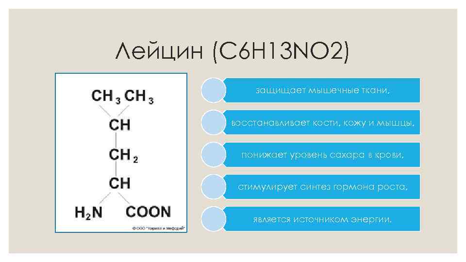 Лейцин (C 6 H 13 NO 2) защищает мышечные ткани, восстанавливает кости, кожу и