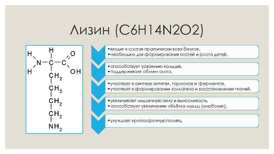 Лизин (C 6 H 14 N 2 O 2) • входит в состав практически