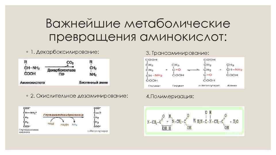 Важнейшие метаболические превращения аминокислот: ◦ 1. Декарбоксилирование: 3. Трансаминирование: ◦ 2. Окислительное дезаминирование: 4.