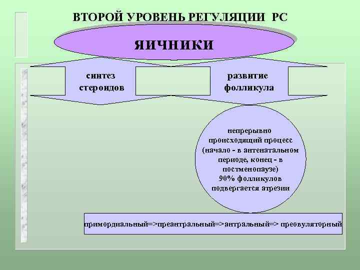 ВТОРОЙ УРОВЕНЬ РЕГУЛЯЦИИ РС яичники синтез стероидов развитие фолликула непрерывно происходящий процесс (начало -