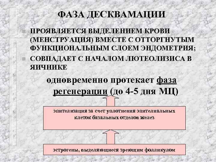 ФАЗА ДЕСКВАМАЦИИ n n ПРОЯВЛЯЕТСЯ ВЫДЕЛЕНИЕМ КРОВИ (МЕНСТРУАЦИЯ) ВМЕСТЕ С ОТТОРГНУТЫМ ФУНКЦИОНАЛЬНЫМ СЛОЕМ ЭНДОМЕТРИЯ;