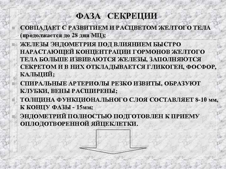ФАЗА СЕКРЕЦИИ n n n СОВПАДАЕТ С РАЗВИТИЕМ И РАСЦВЕТОМ ЖЕЛТОГО ТЕЛА (продолжается до
