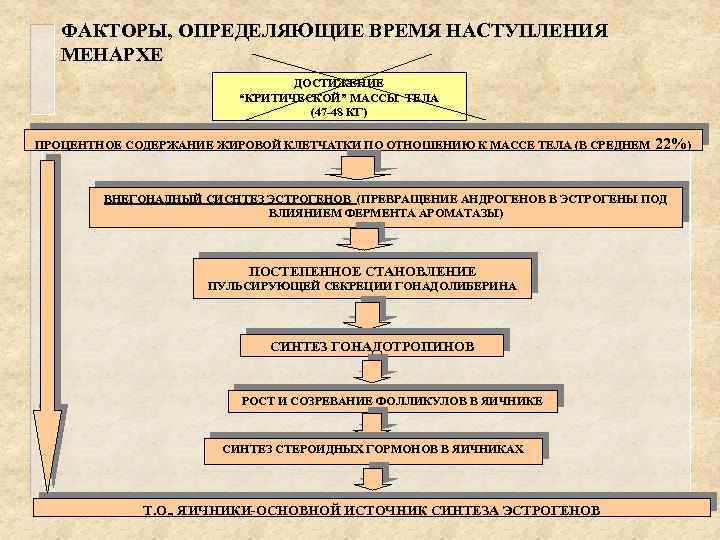 ФАКТОРЫ, ОПРЕДЕЛЯЮЩИЕ ВРЕМЯ НАСТУПЛЕНИЯ МЕНАРХЕ ДОСТИЖЕНИЕ “КРИТИЧЕСКОЙ” МАССЫ ТЕЛА (47 -48 КГ) ПРОЦЕНТНОЕ СОДЕРЖАНИЕ