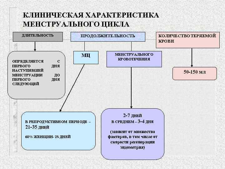 КЛИНИЧЕСКАЯ ХАРАКТЕРИСТИКА МЕНСТРУАЛЬНОГО ЦИКЛА ДЛИТЕЛЬНОСТЬ ПРОДОЛЖИТЕЛЬНОСТЬ МЦ ОПРЕДЕЛЯЕТСЯ ПЕРВОГО НАСТУПИВШЕЙ МЕНСТРУАЦИИ ПЕРВОГО СЛЕДУЮЩЕЙ С