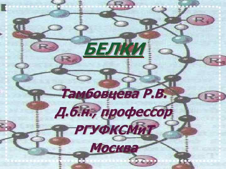 БЕЛКИ Тамбовцева Р. В. Д. б. н. , профессор РГУФКСМи. Т Москва 