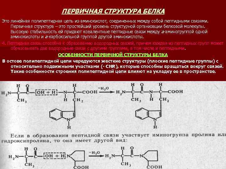 ПЕРВИЧНАЯ СТРУКТУРА БЕЛКА Это линейная полипептидная цепь из аминокислот, соединенных между собой пептидными связями.