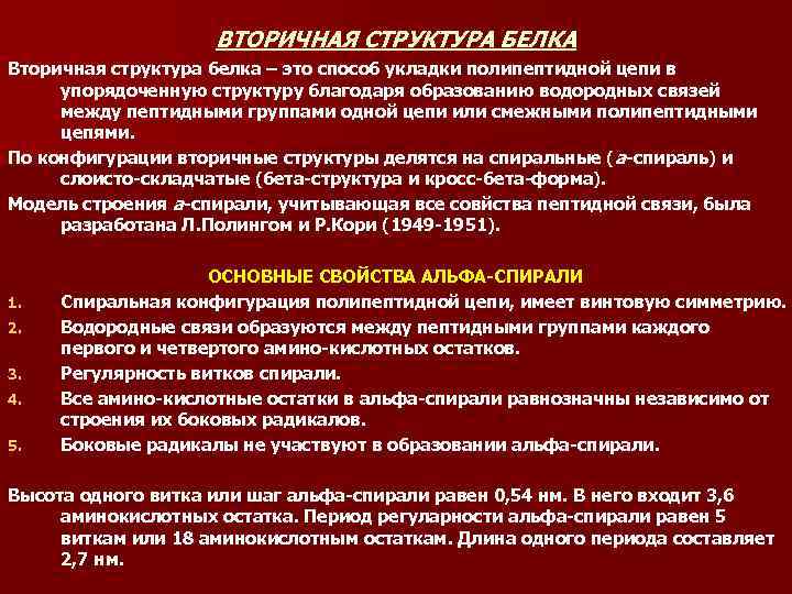 ВТОРИЧНАЯ СТРУКТУРА БЕЛКА Вторичная структура белка – это способ укладки полипептидной цепи в упорядоченную