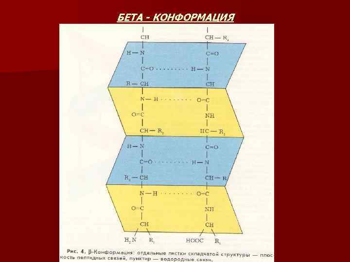 БЕТА - КОНФОРМАЦИЯ 