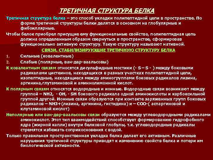 ТРЕТИЧНАЯ СТРУКТУРА БЕЛКА Третичная структура белка – это способ укладки полипептидной цепи в пространстве.