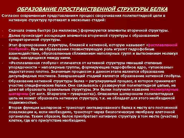 ОБРАЗОВАНИЕ ПРОСТРАНСТВЕННОЙ СТРУКТУРЫ БЕЛКА Согласно современным представлениям процесс сворачивания полипептидной цепи в нативную структуру