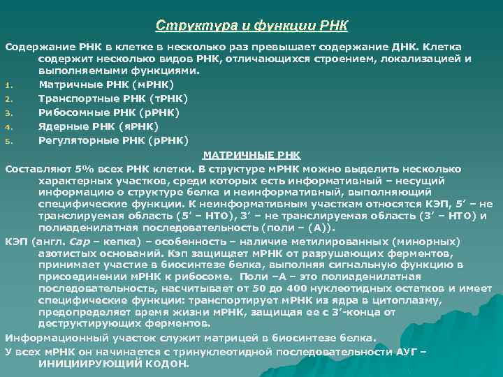 Структура и функции РНК Содержание РНК в клетке в несколько раз превышает содержание ДНК.