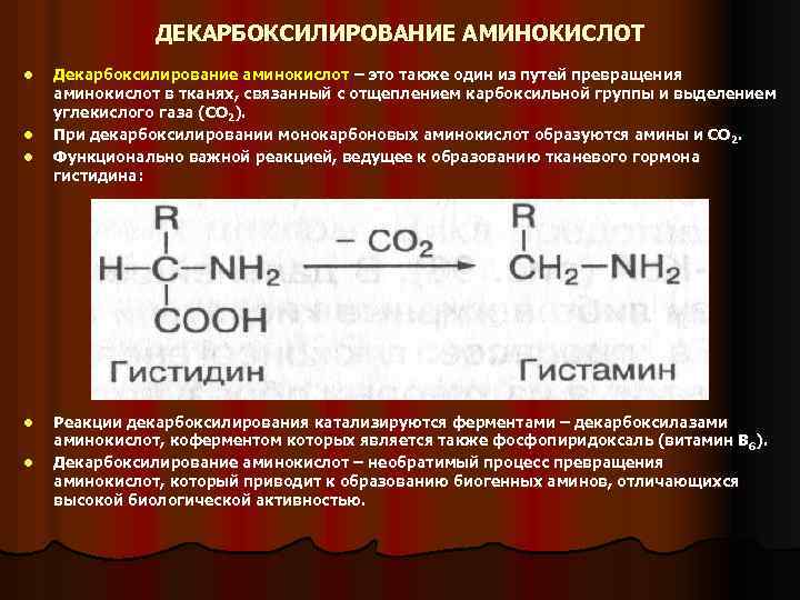 ДЕКАРБОКСИЛИРОВАНИЕ АМИНОКИСЛОТ l l l Декарбоксилирование аминокислот – это также один из путей превращения