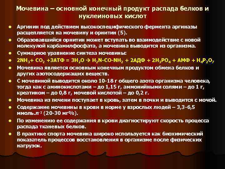 Мочевина – основной конечный продукт распада белков и нуклеиновых кислот l l l l