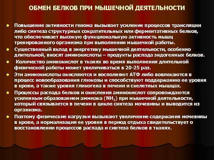 ОБМЕН БЕЛКОВ ПРИ МЫШЕЧНОЙ ДЕЯТЕЛЬНОСТИ l l l Повышение активности генома вызывает усиление процессов