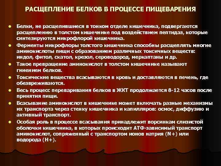 РАСЩЕПЛЕНИЕ БЕЛКОВ В ПРОЦЕССЕ ПИЩЕВАРЕНИЯ l l l l Белки, не расщепившиеся в тонком