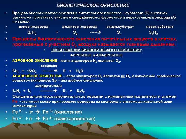 Функция биологического окисления в клетках