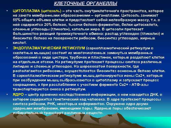 КЛЕТОЧНЫЕ ОРГАНЕЛЛЫ • • • ЦИТОПЛАЗМА (цитозоль) – это часть внутриклеточного пространства, которое не