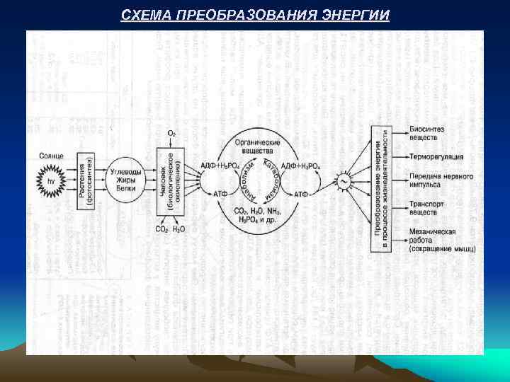 СХЕМА ПРЕОБРАЗОВАНИЯ ЭНЕРГИИ 